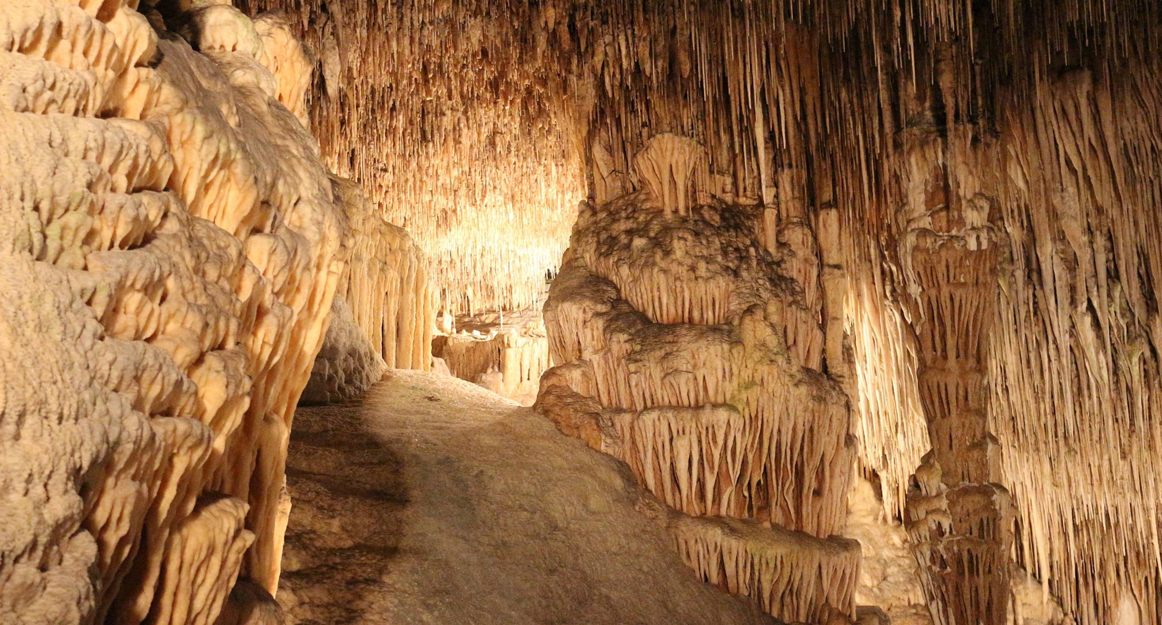 Las cuevas del Drach