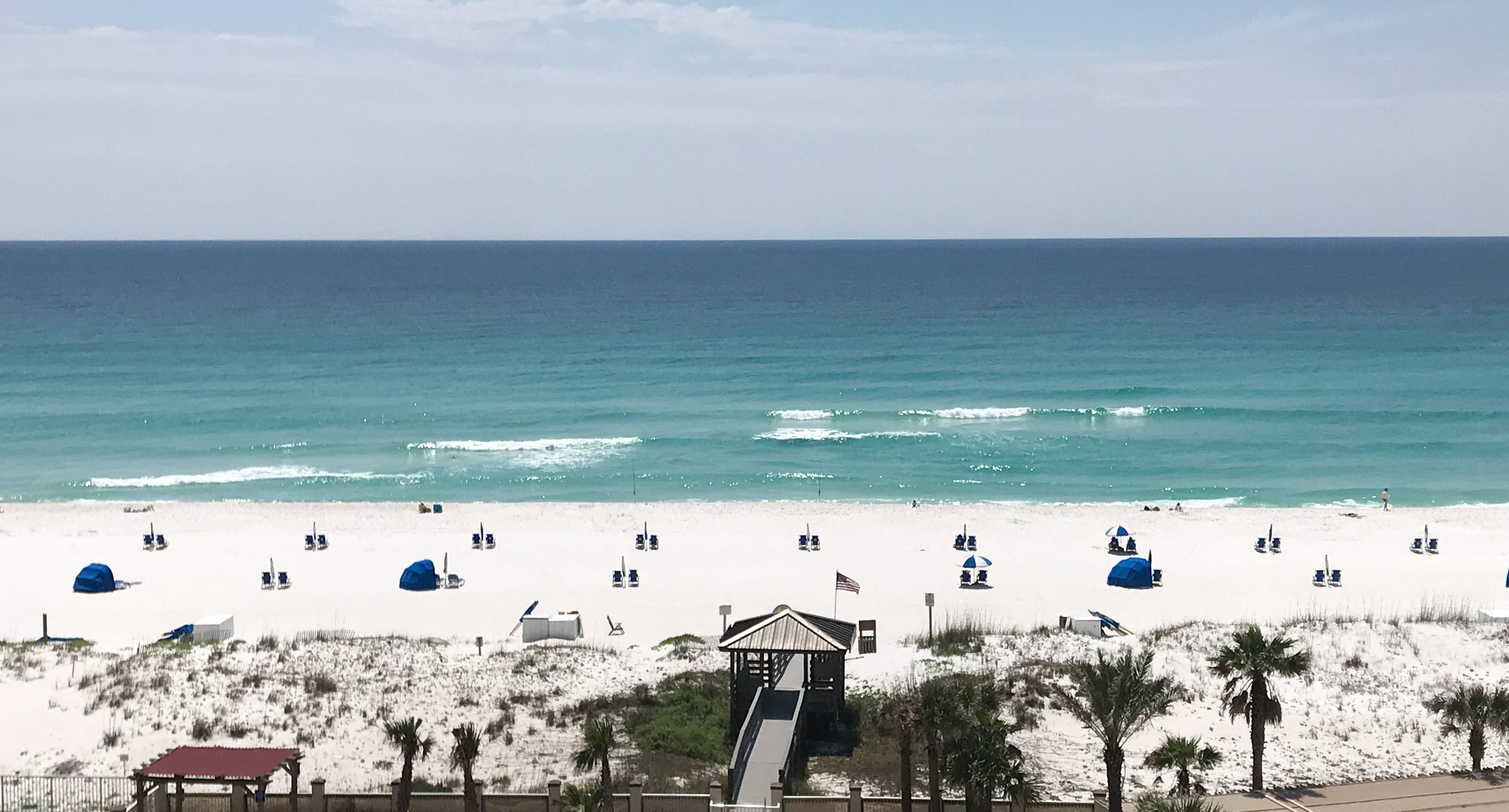 Natura e spiagge di Miami