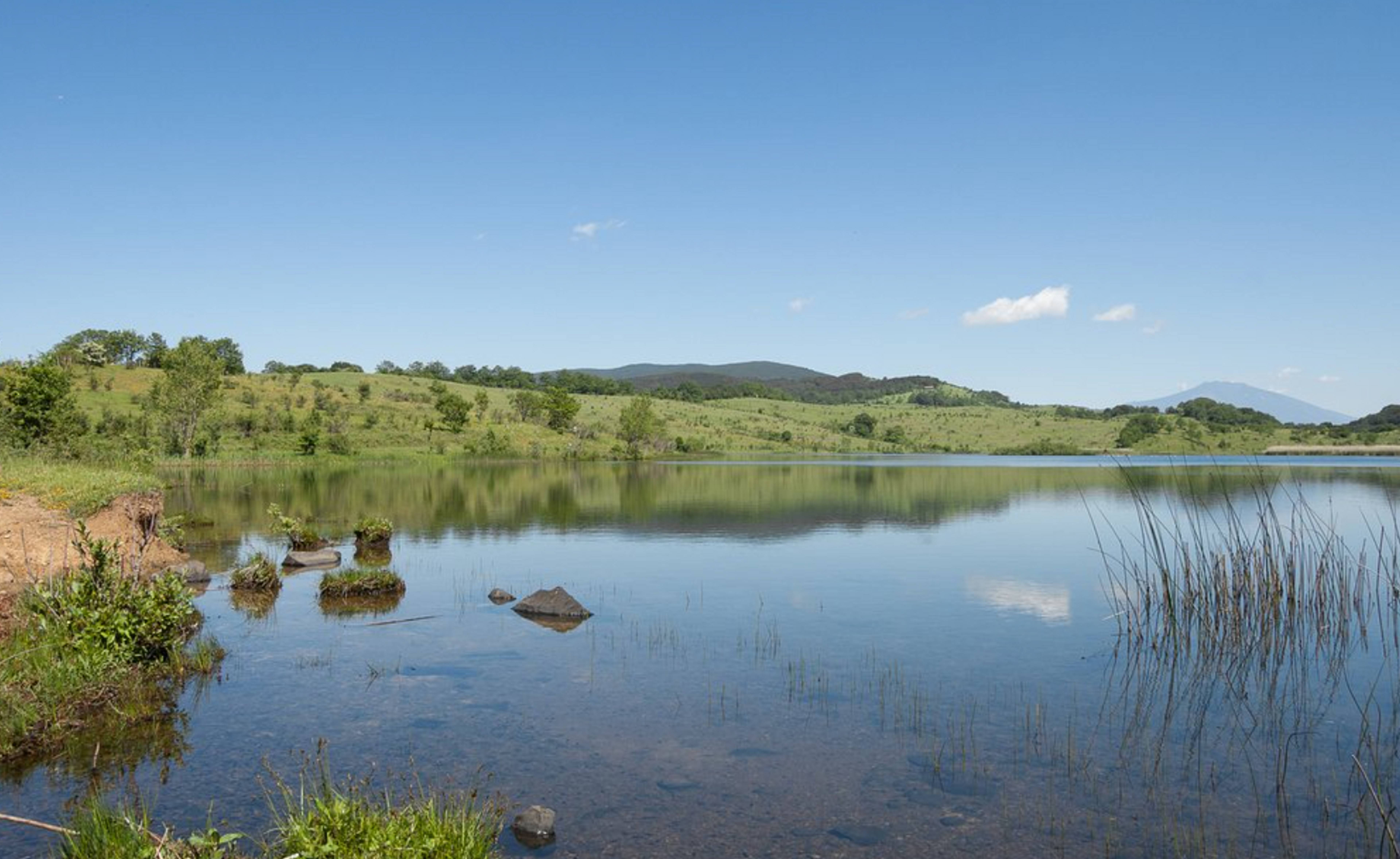 Lago Biviere