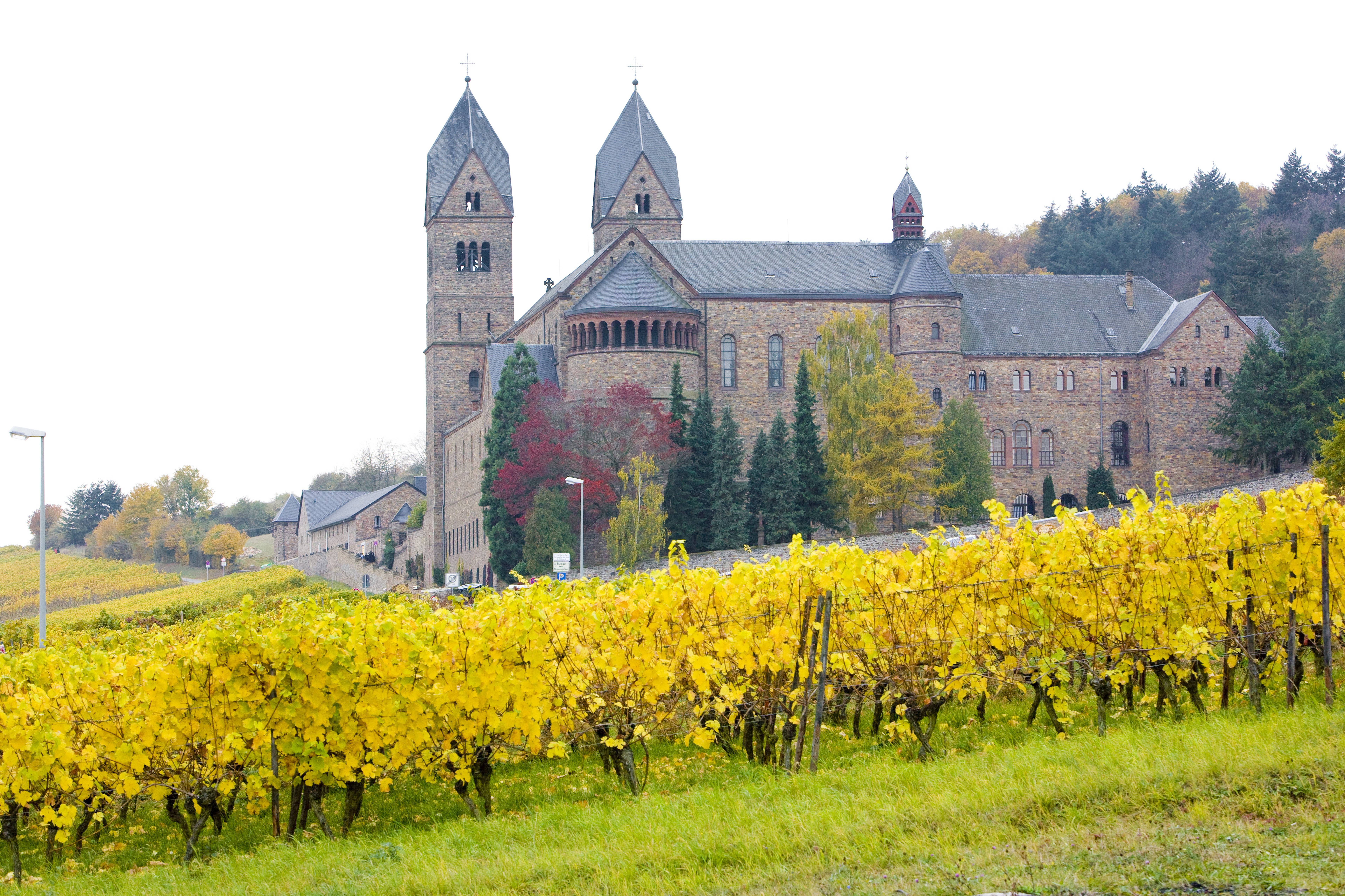 Abbey of St. Hildegard