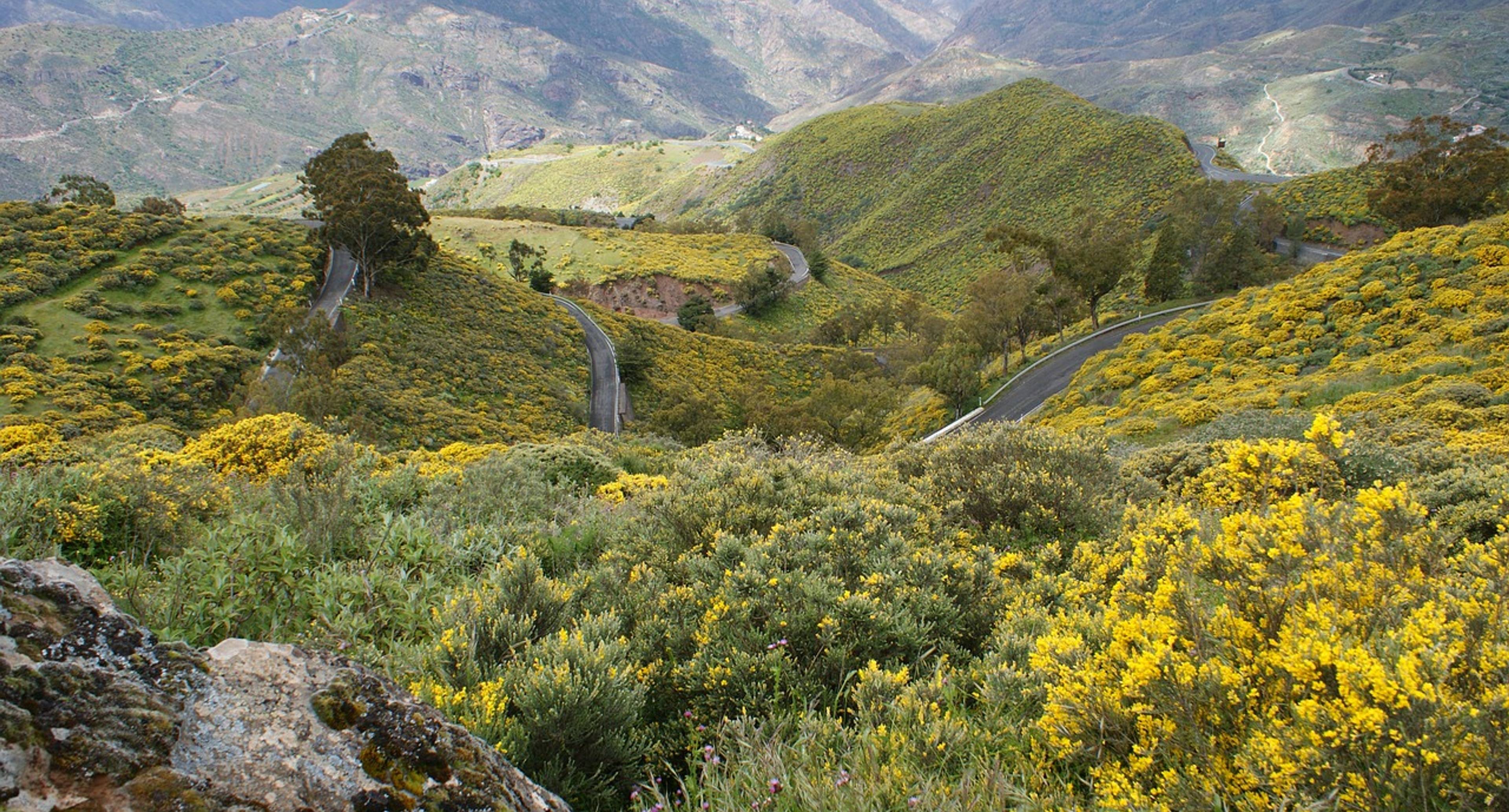 Percorsi di trekking