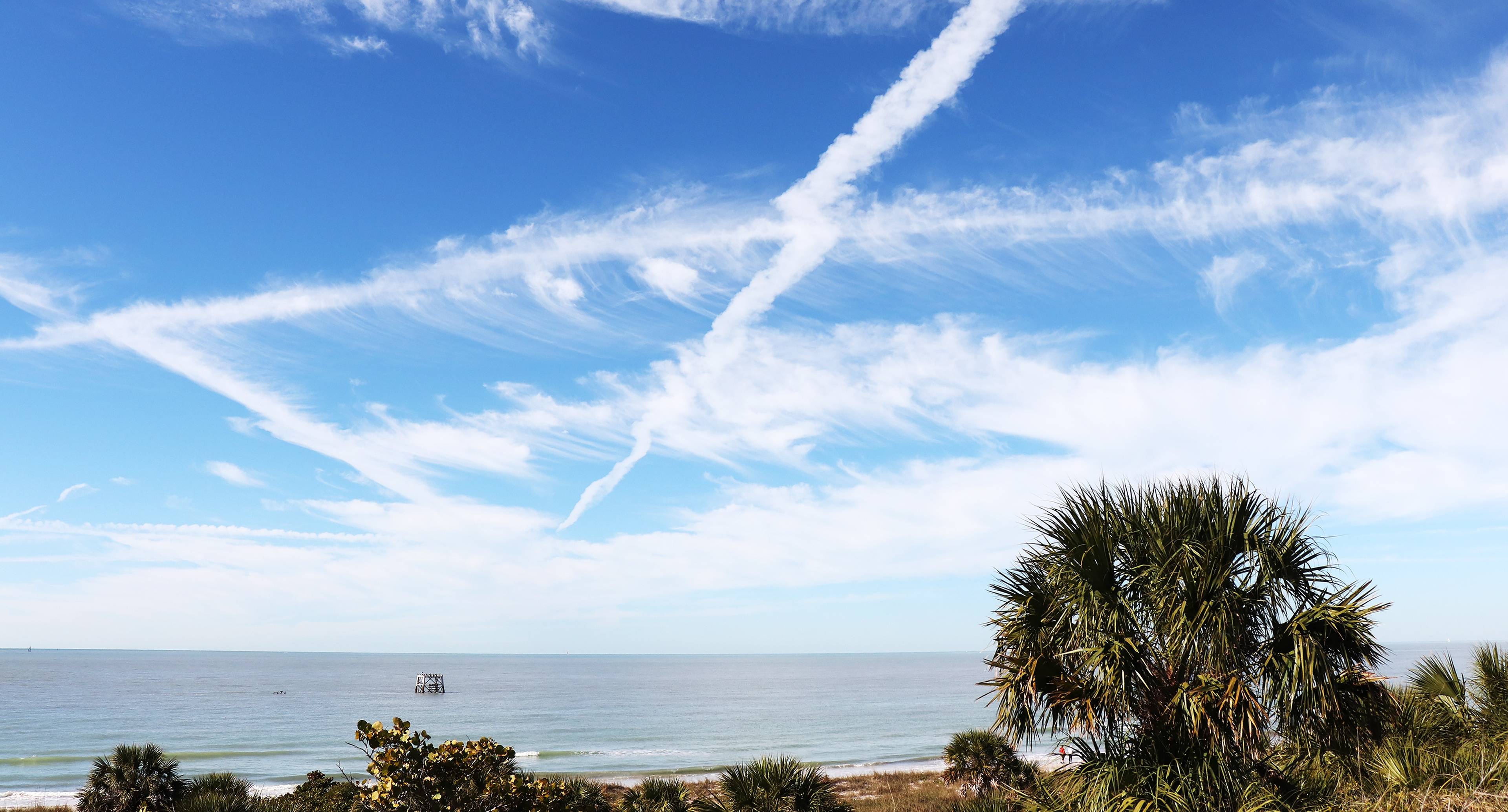 Relax Under the Florida Sun and the Gulf Coast