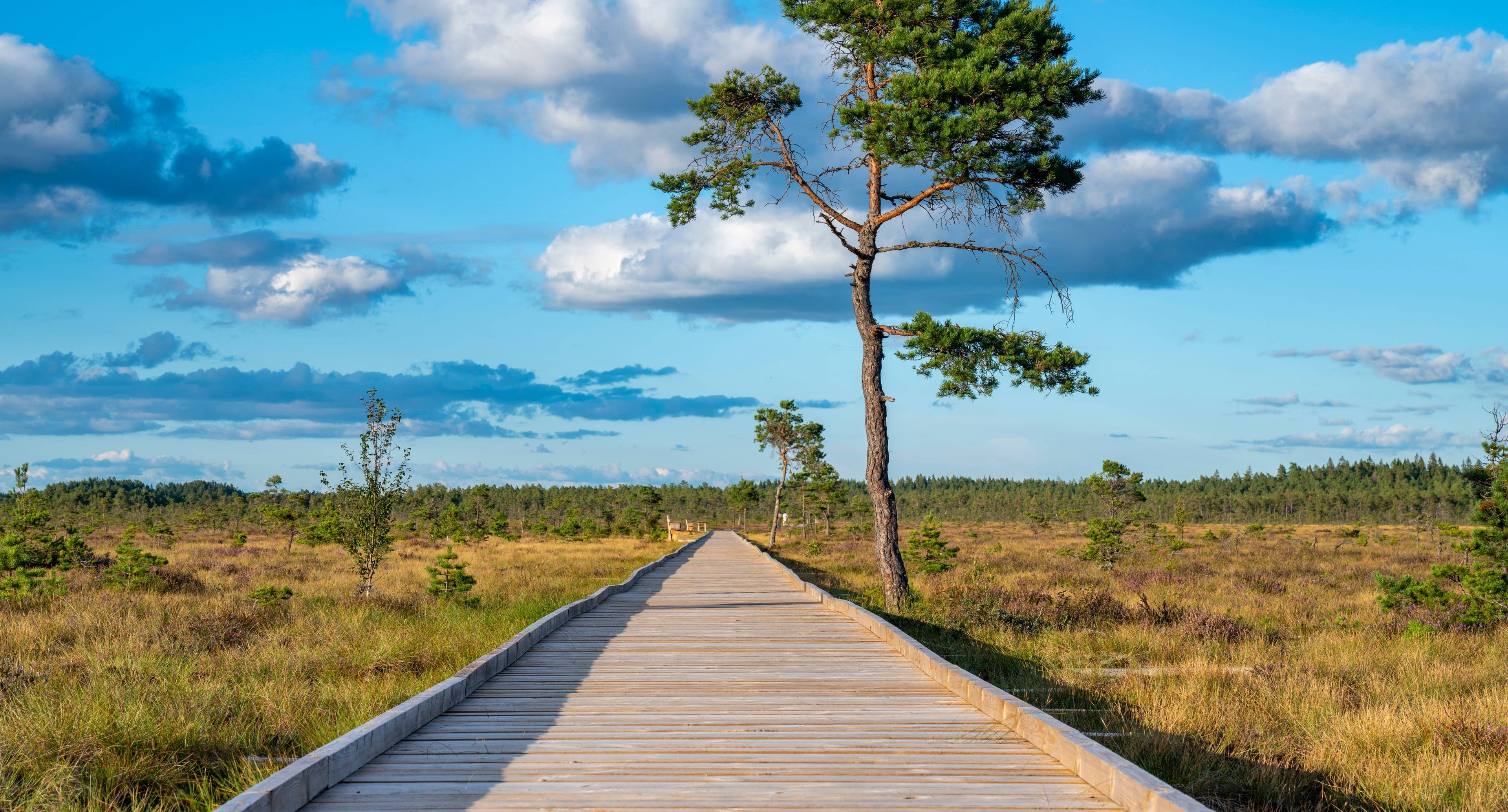 Nature Reserve & Fun Historical Park With a Lot of Activities