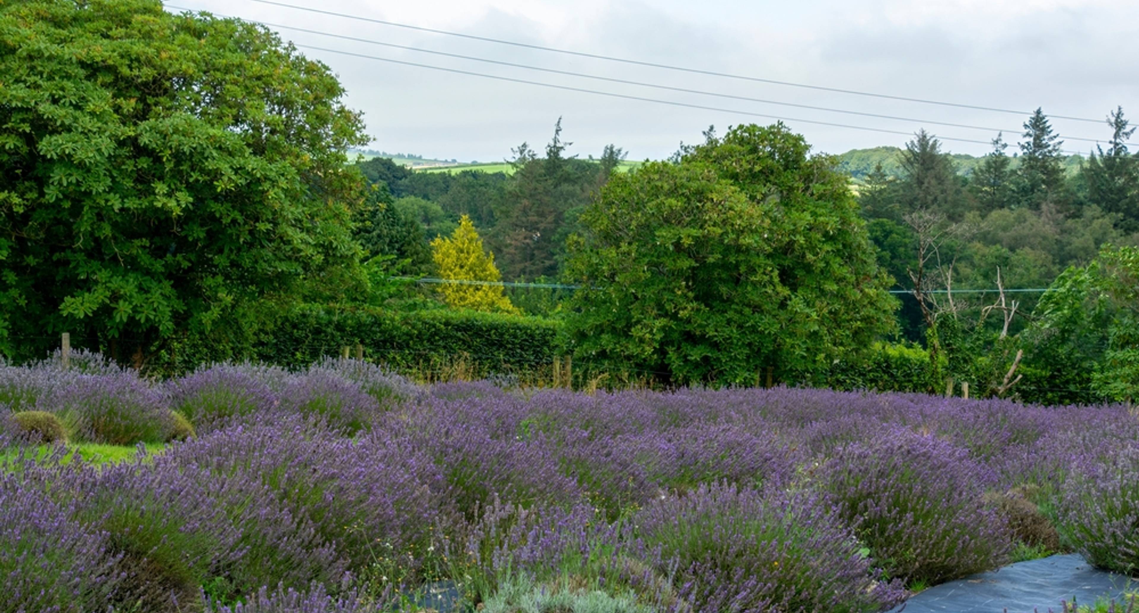 Des lieux enchanteurs et une nature rafraîchissante