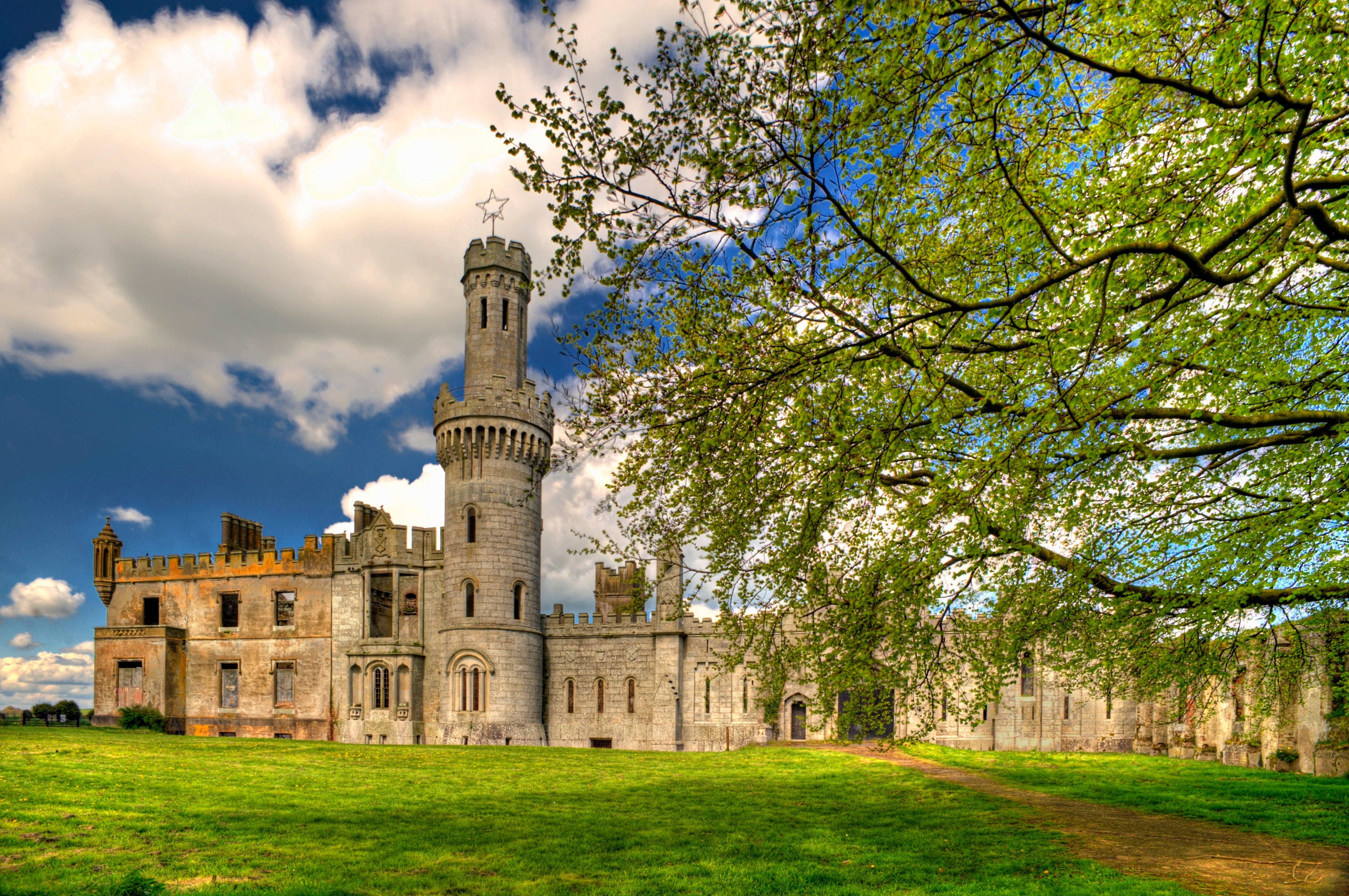 Duckett's Grove