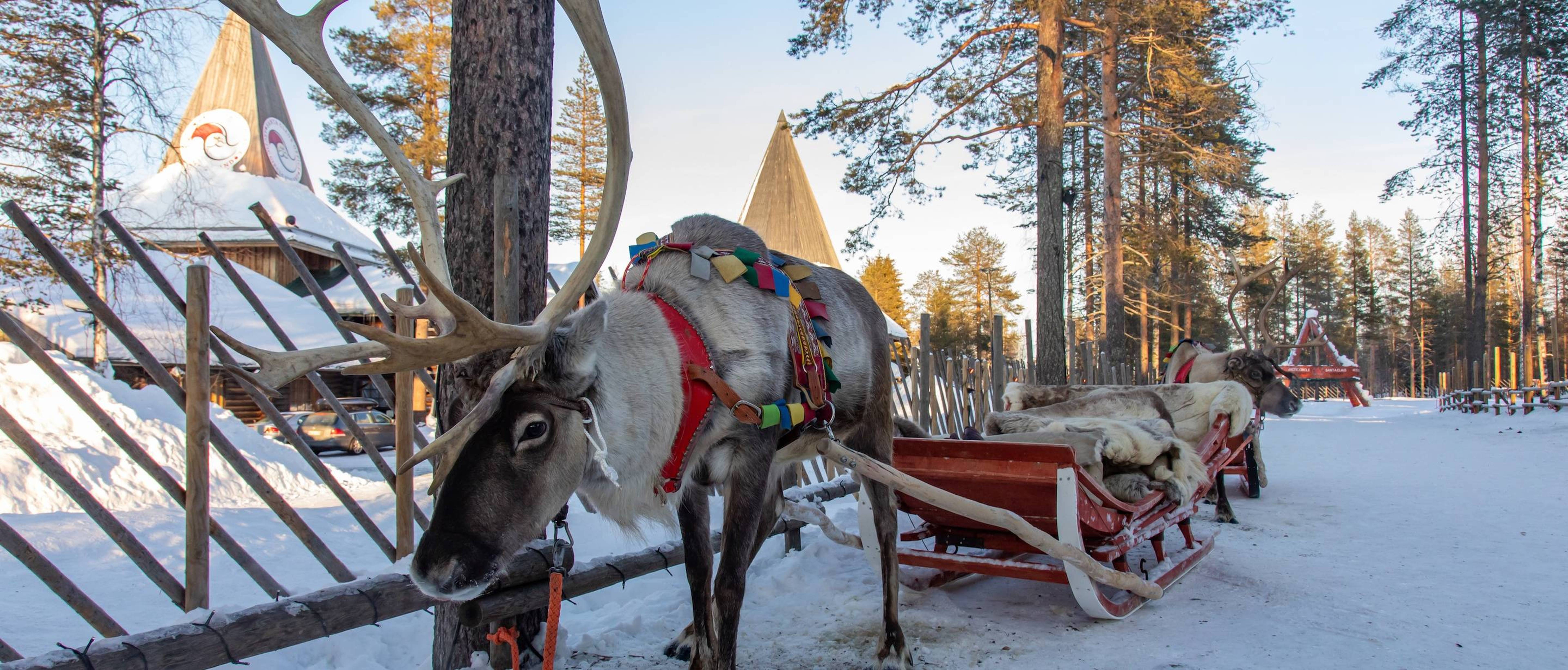 Santa Claus Reindeer