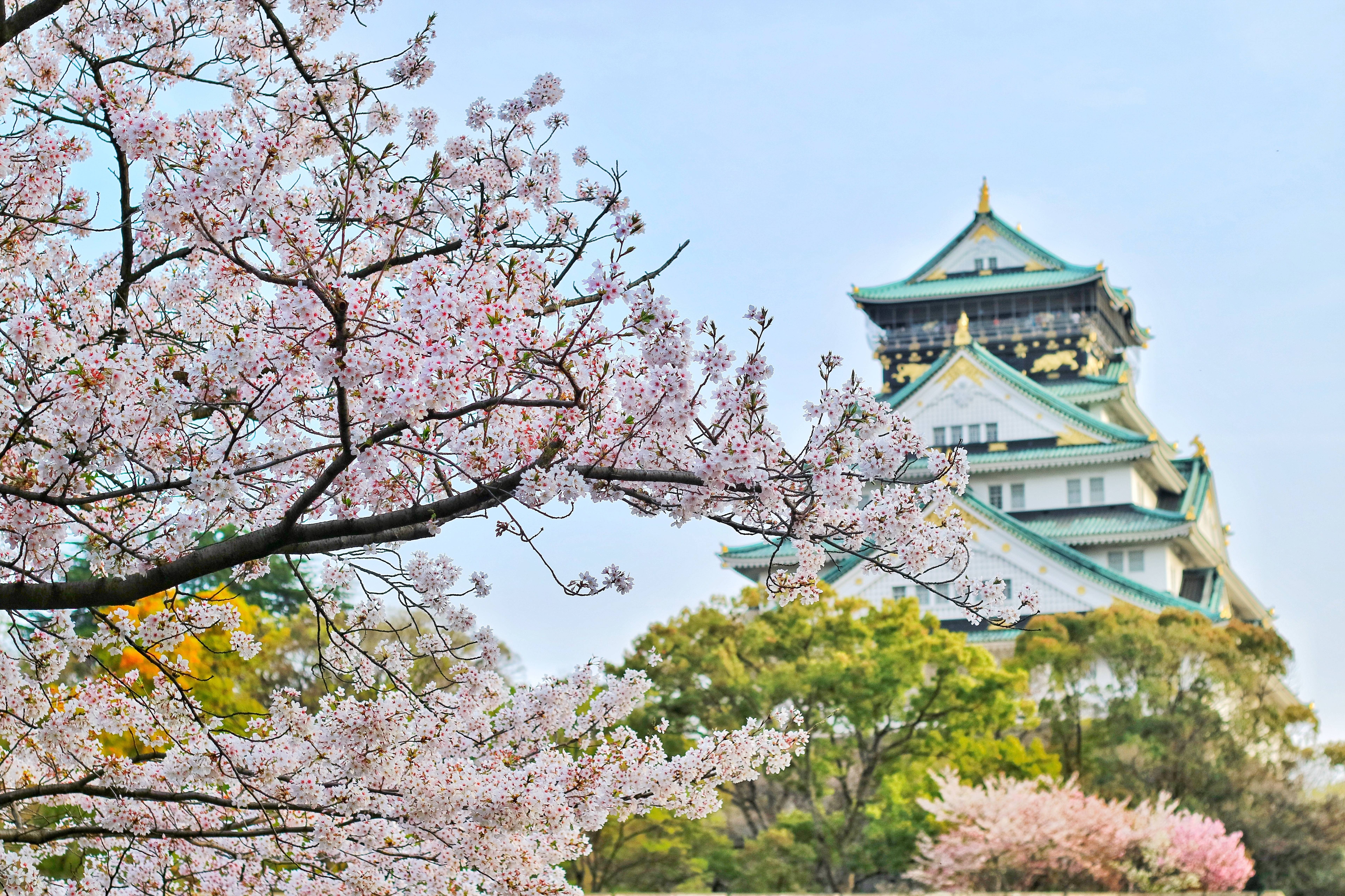 Osaka Castle Main Tower (大阪城天守閣)