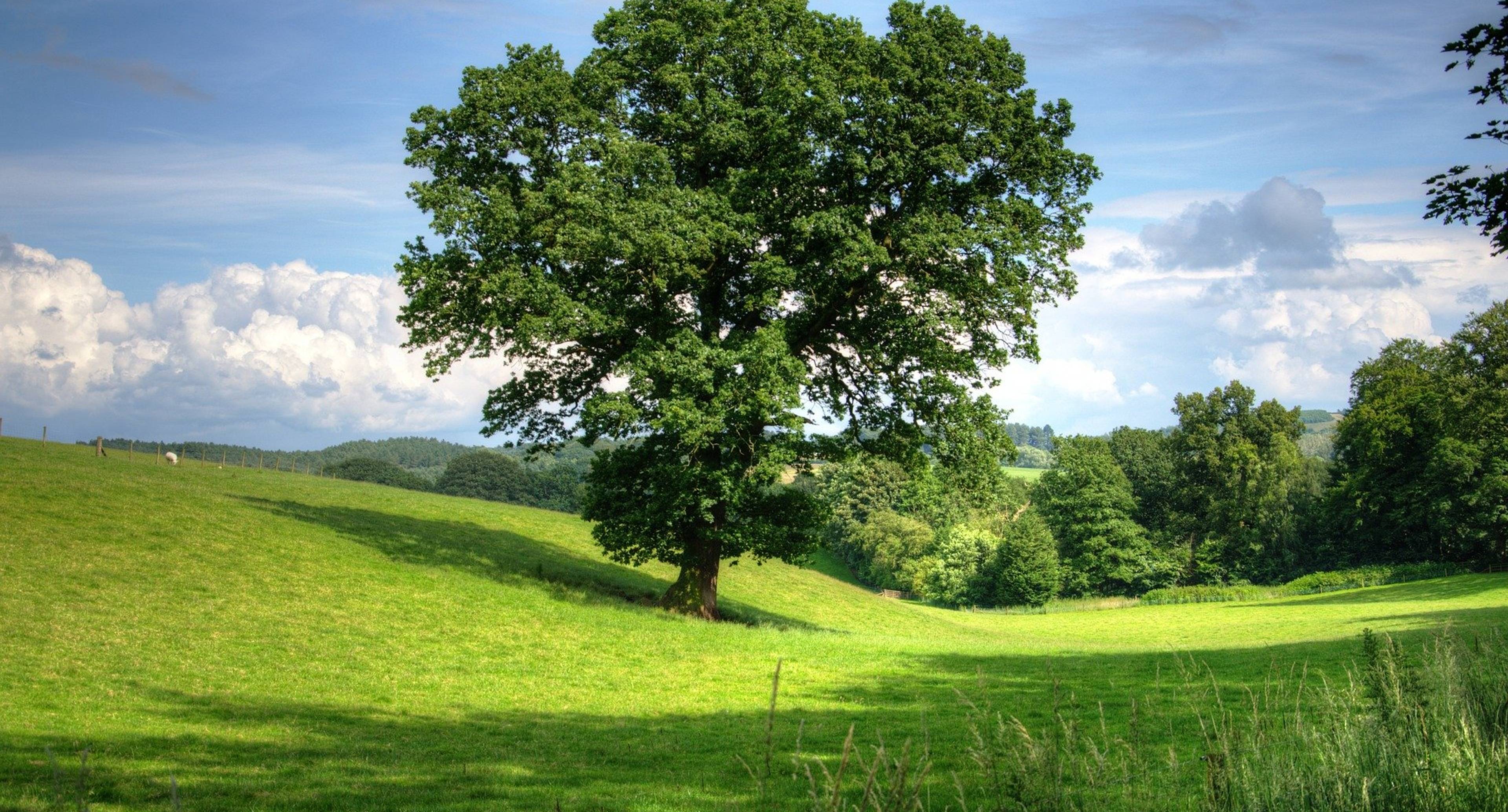 Alte befestigte Siedlung, White Mountain, Rennstrecke