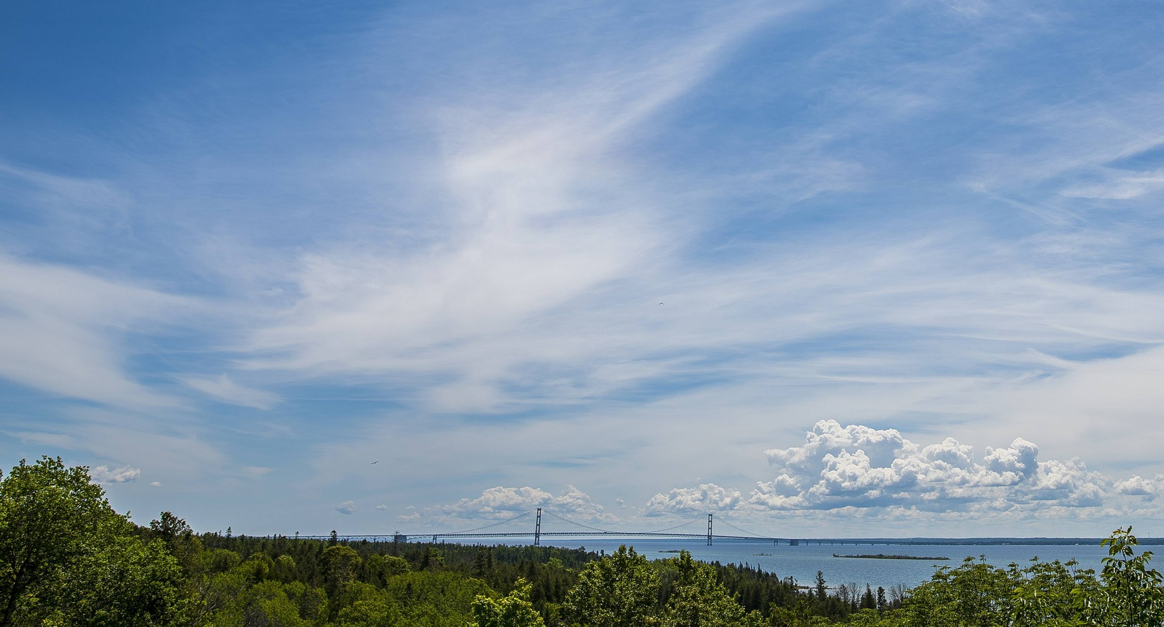 La bellezza della natura vicino a Green Bay