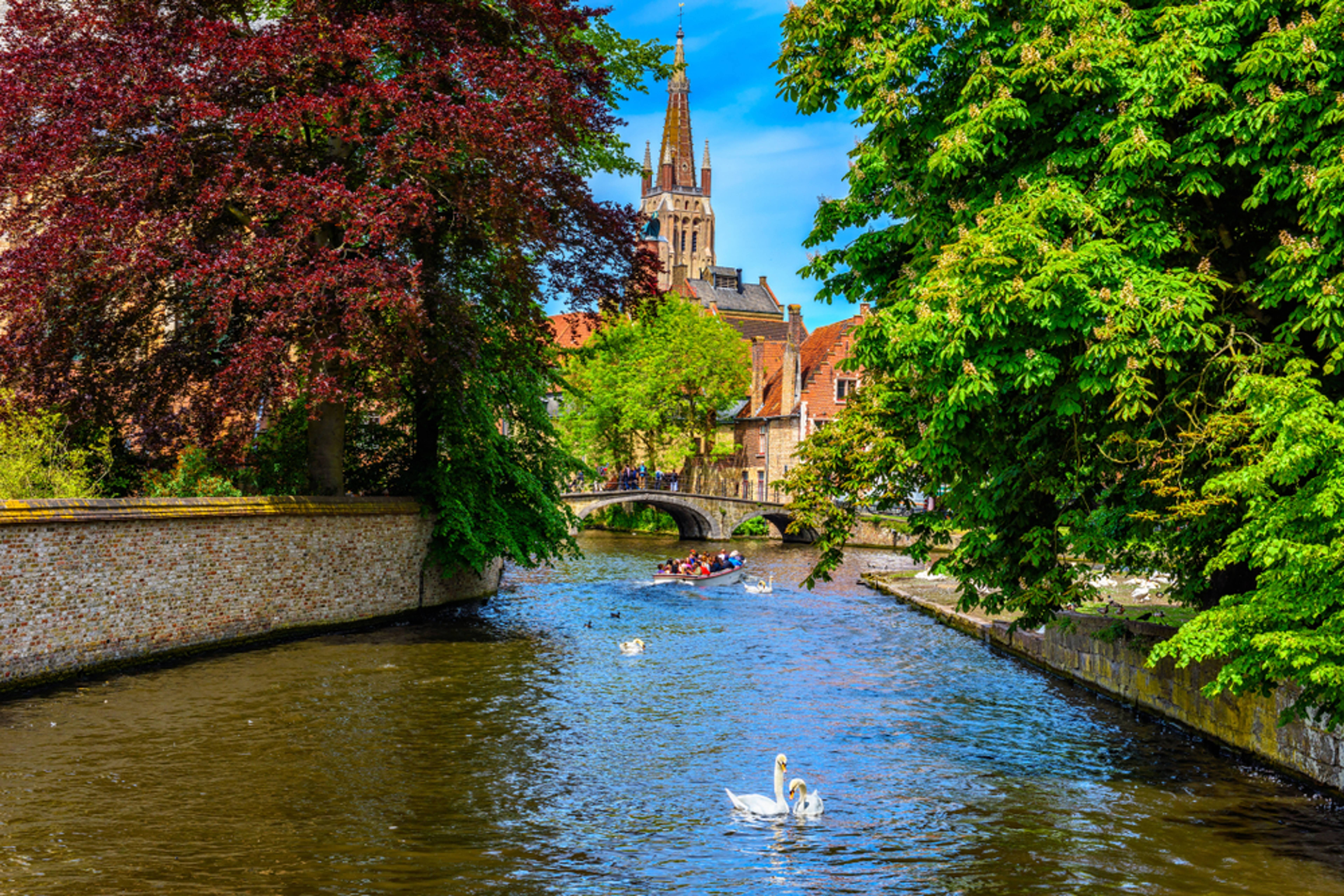 Gita in barca sui canali di Bruges