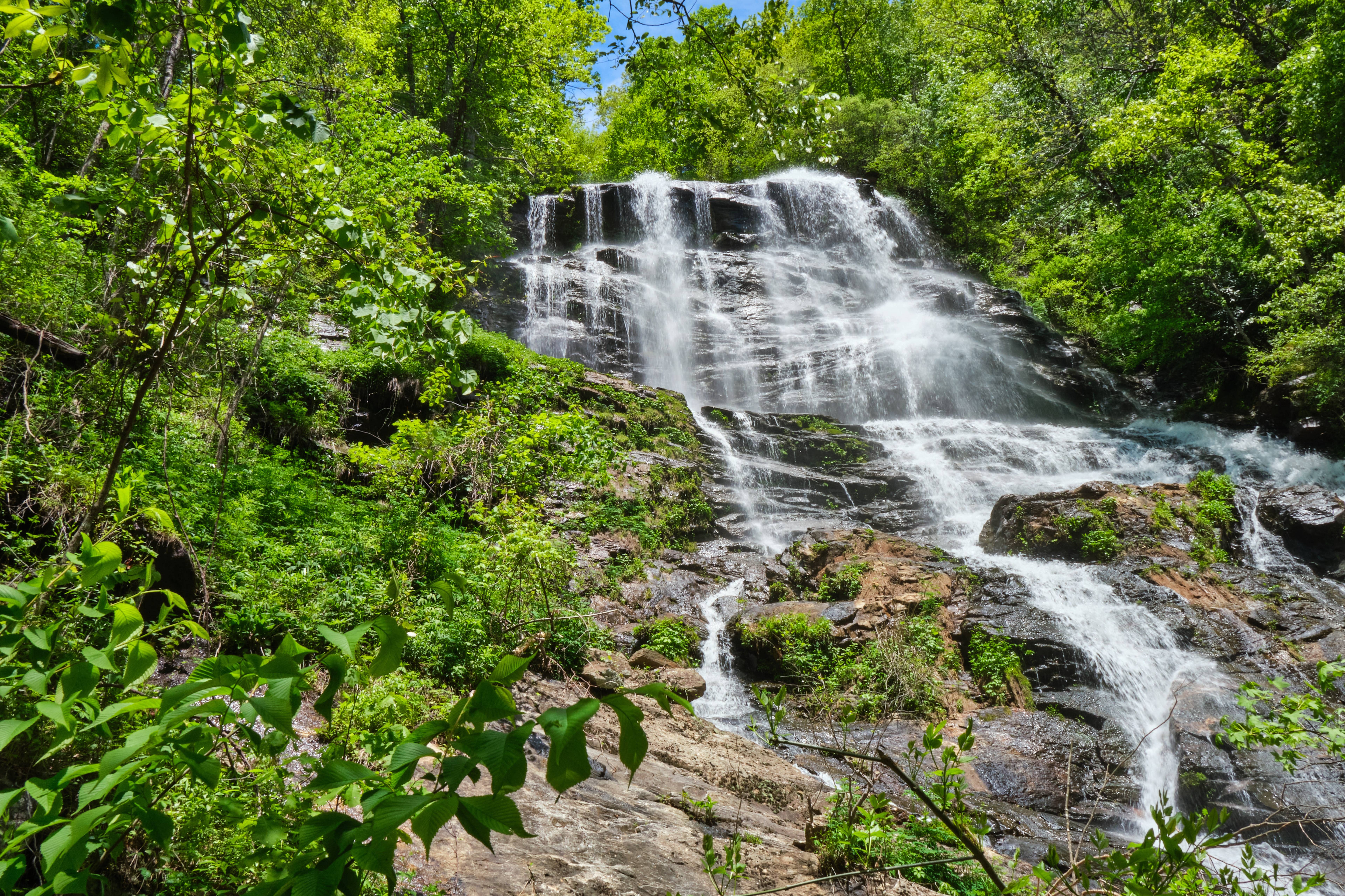 Amicalola Falls State Park