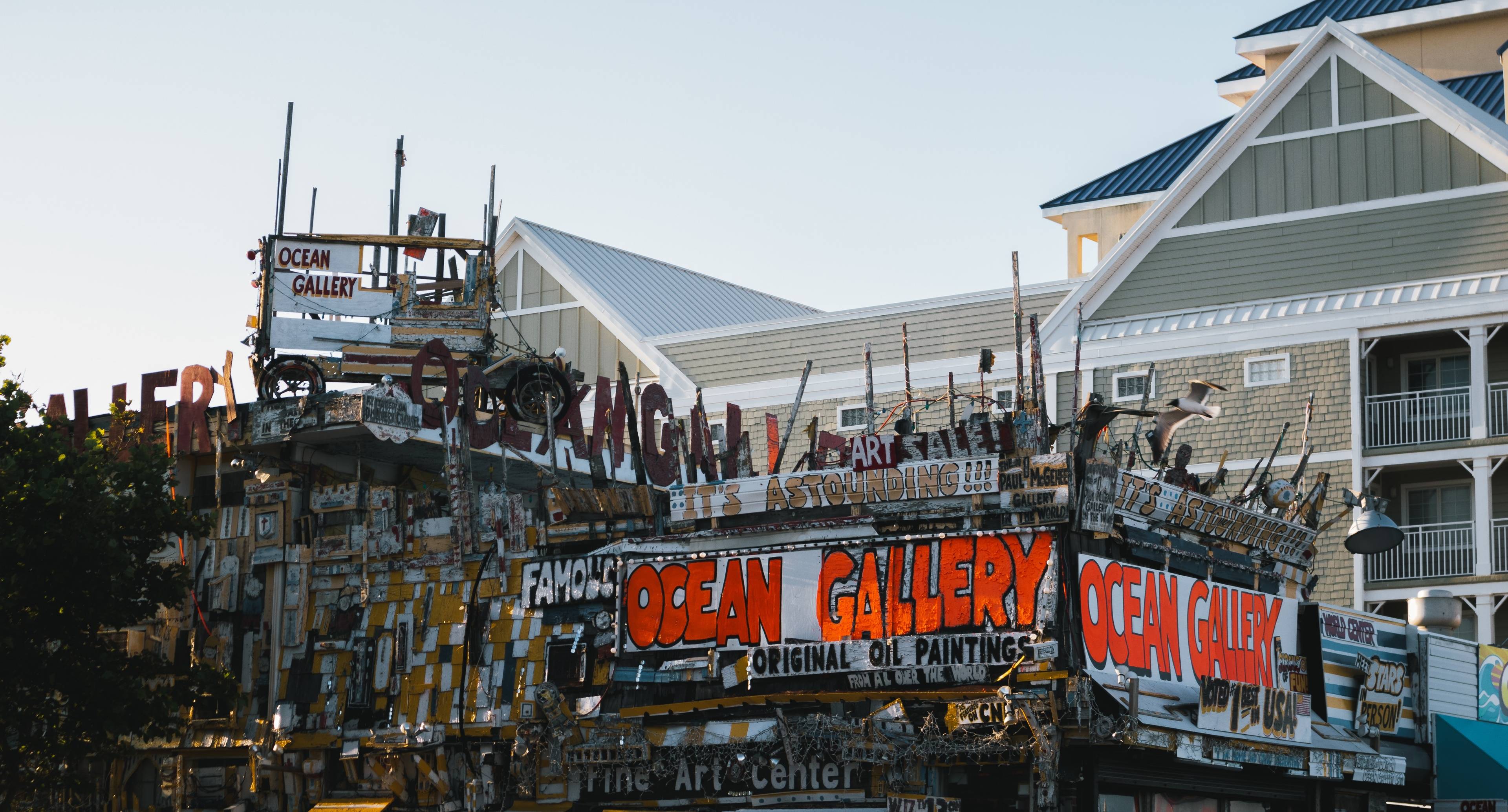 Ocean City: Beach Lounging and Drinking