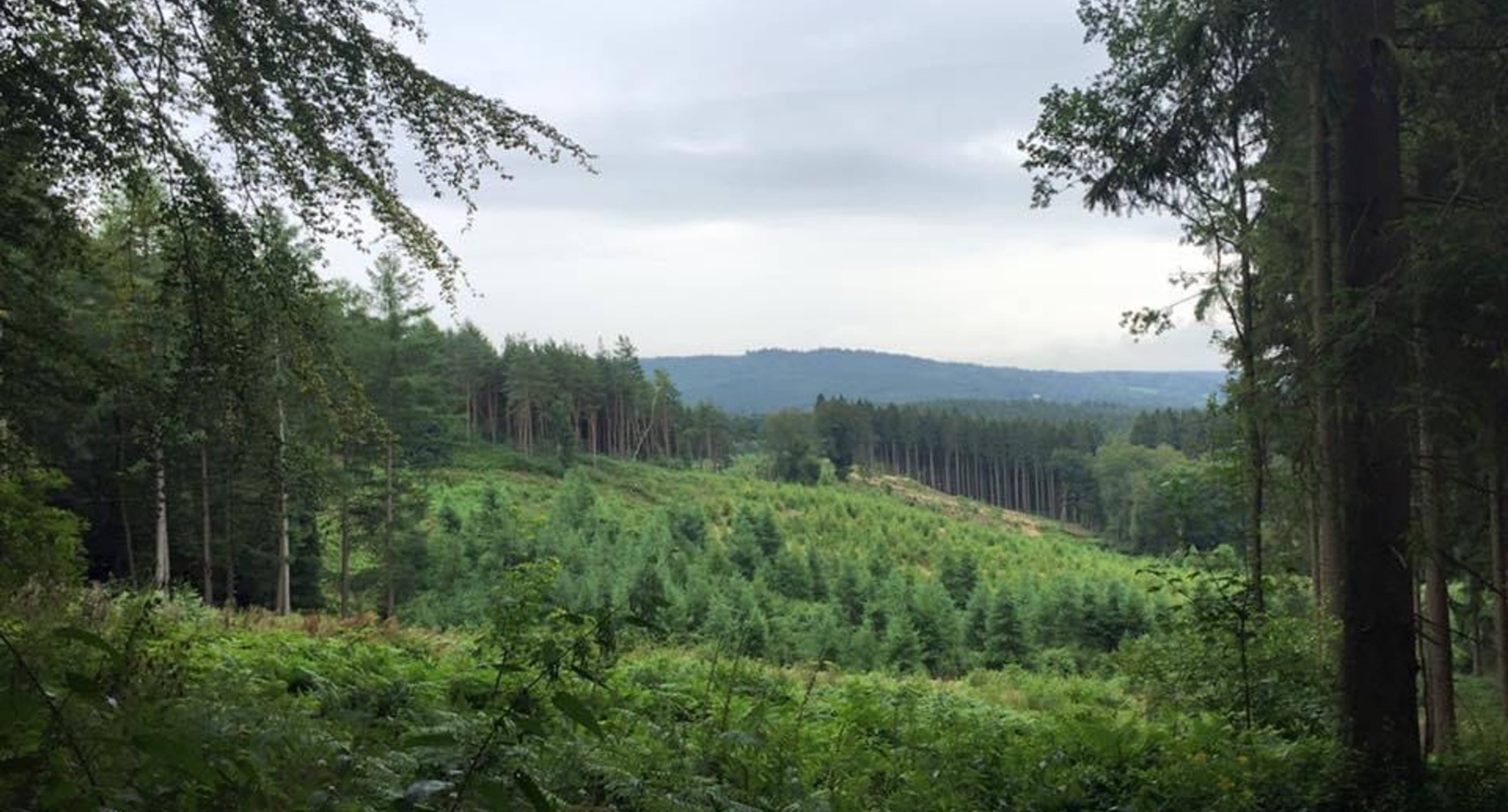 Exploring Nature Around the Highest Part of the Netherlands