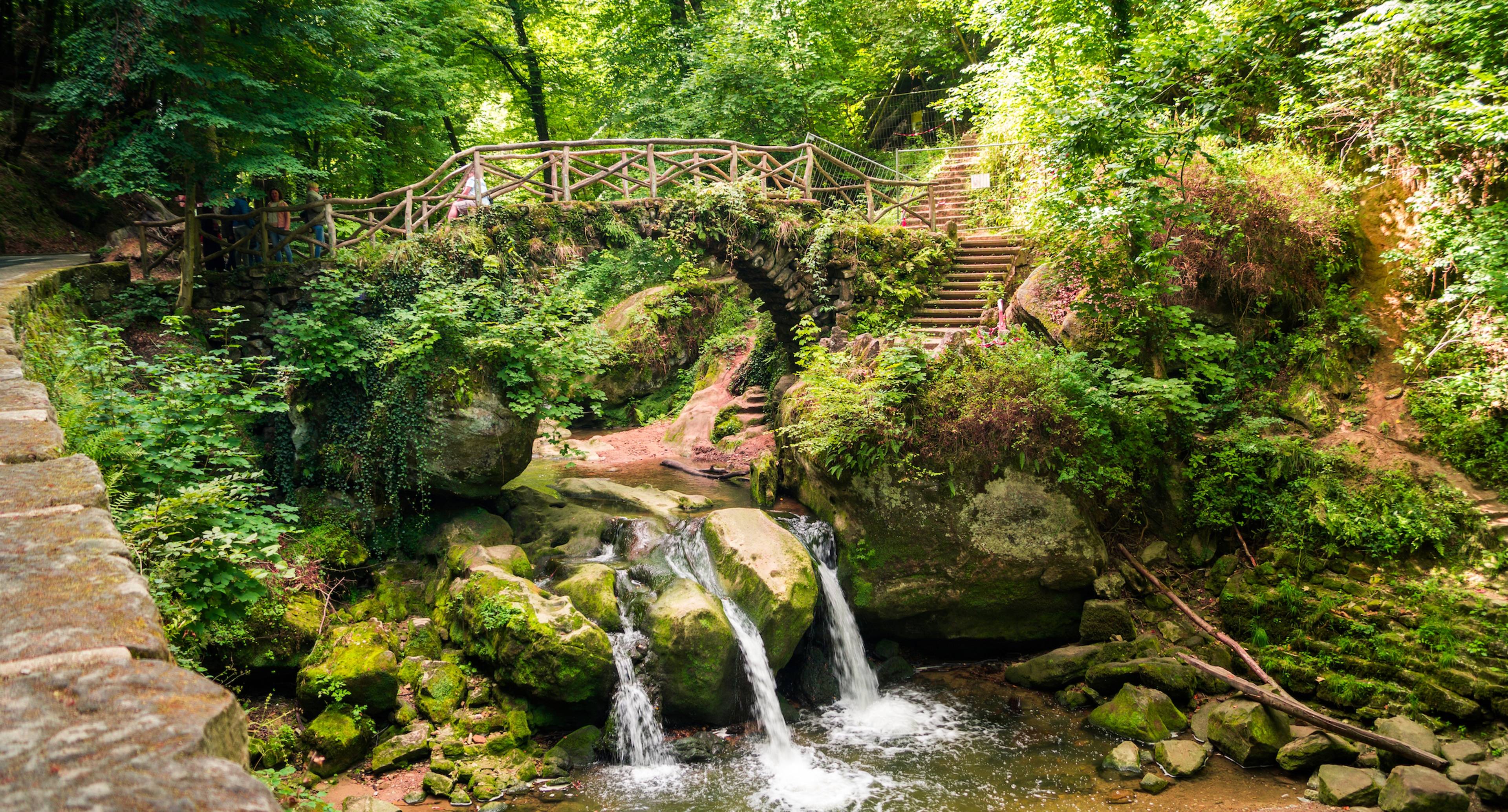 Lush Landscapes in the Mullerthal Region