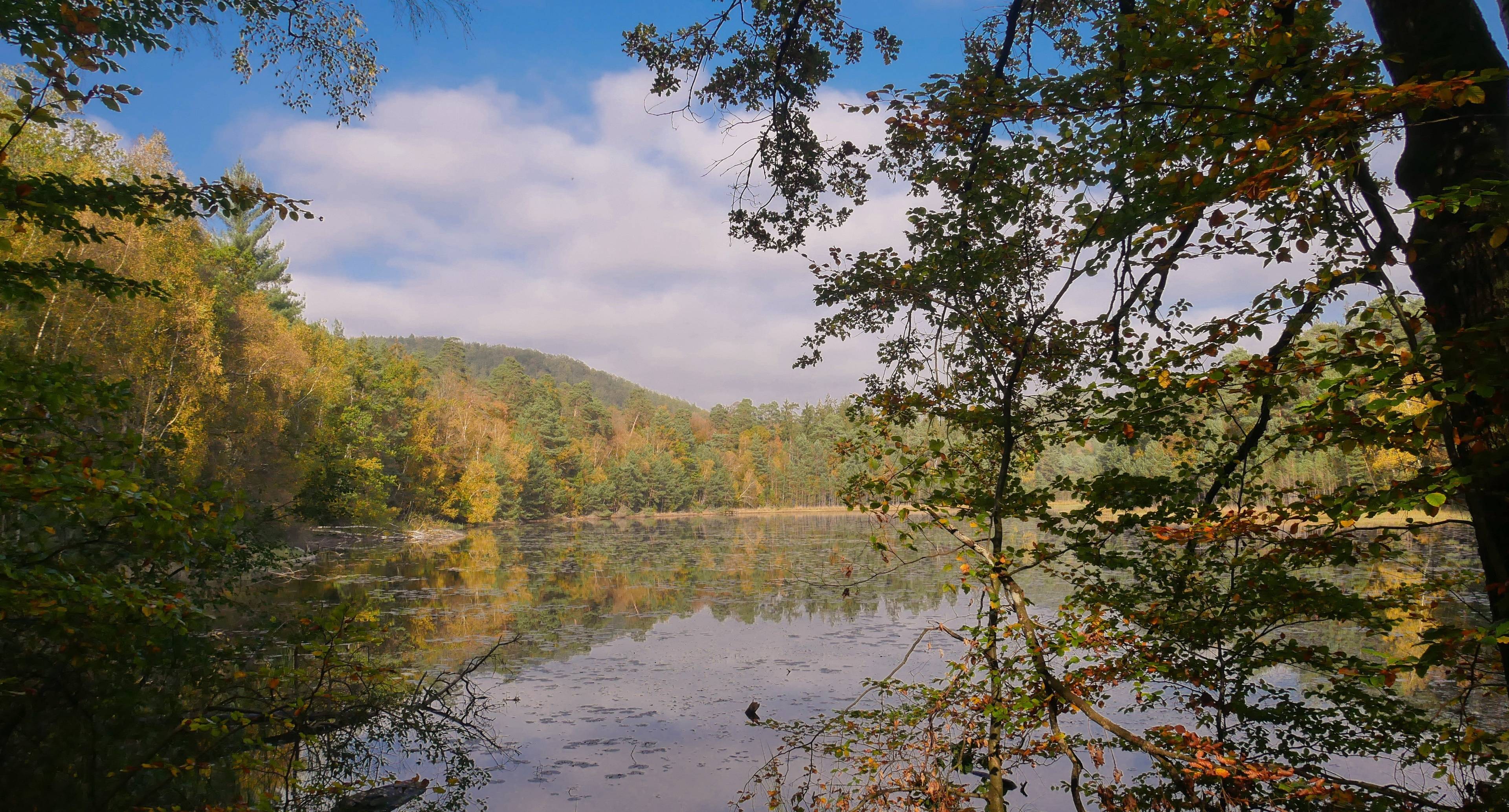 The Magnificent Northern Vosges Regional Nature Park 