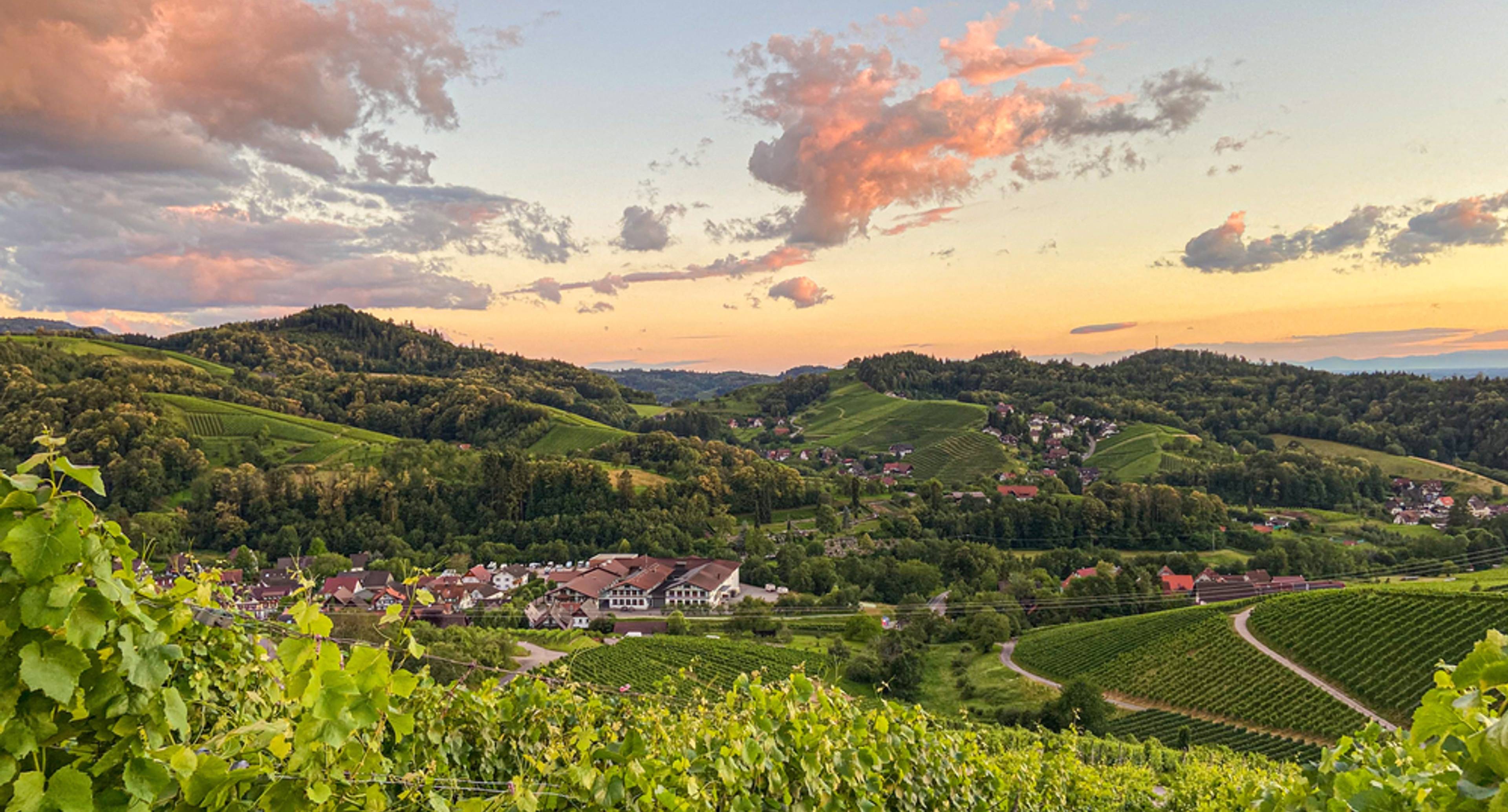 Between vineyards and the Upper Black Forest in Sasbachwalden