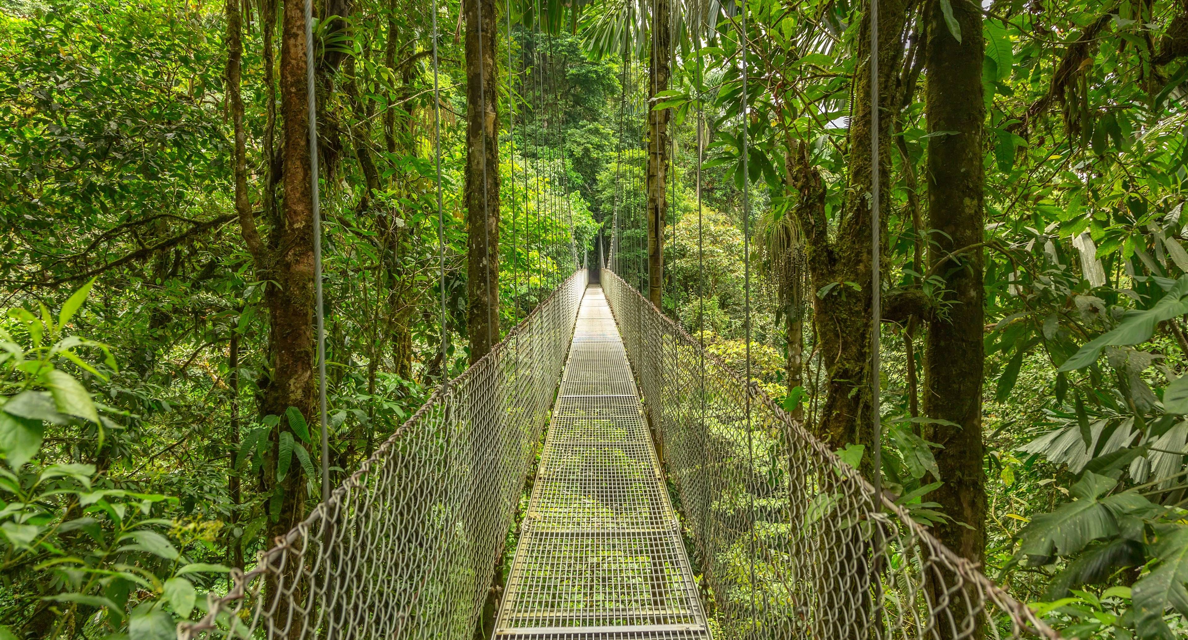 Adrenaline, Hanging Bridges and Hot Springs in the Cloud Forest