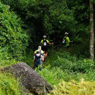 tourhub | Mr Linh's Adventures | Trekking through Hoang Su Phi rice fields 4 days 3 nights 