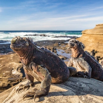 tourhub | Latin Trails | Galapagos Western, Central and Northern Islands Cruise 