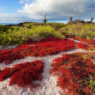 tourhub | Exodus Adventure Travels | Island Hopping in the Galapagos (2024) 