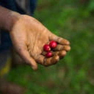 tourhub | Wild Frontiers | Tribal Lands of Papua New Guinea 