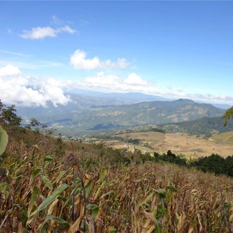 tourhub | Bamba Travel | Acatenango Hike 2D/1N 