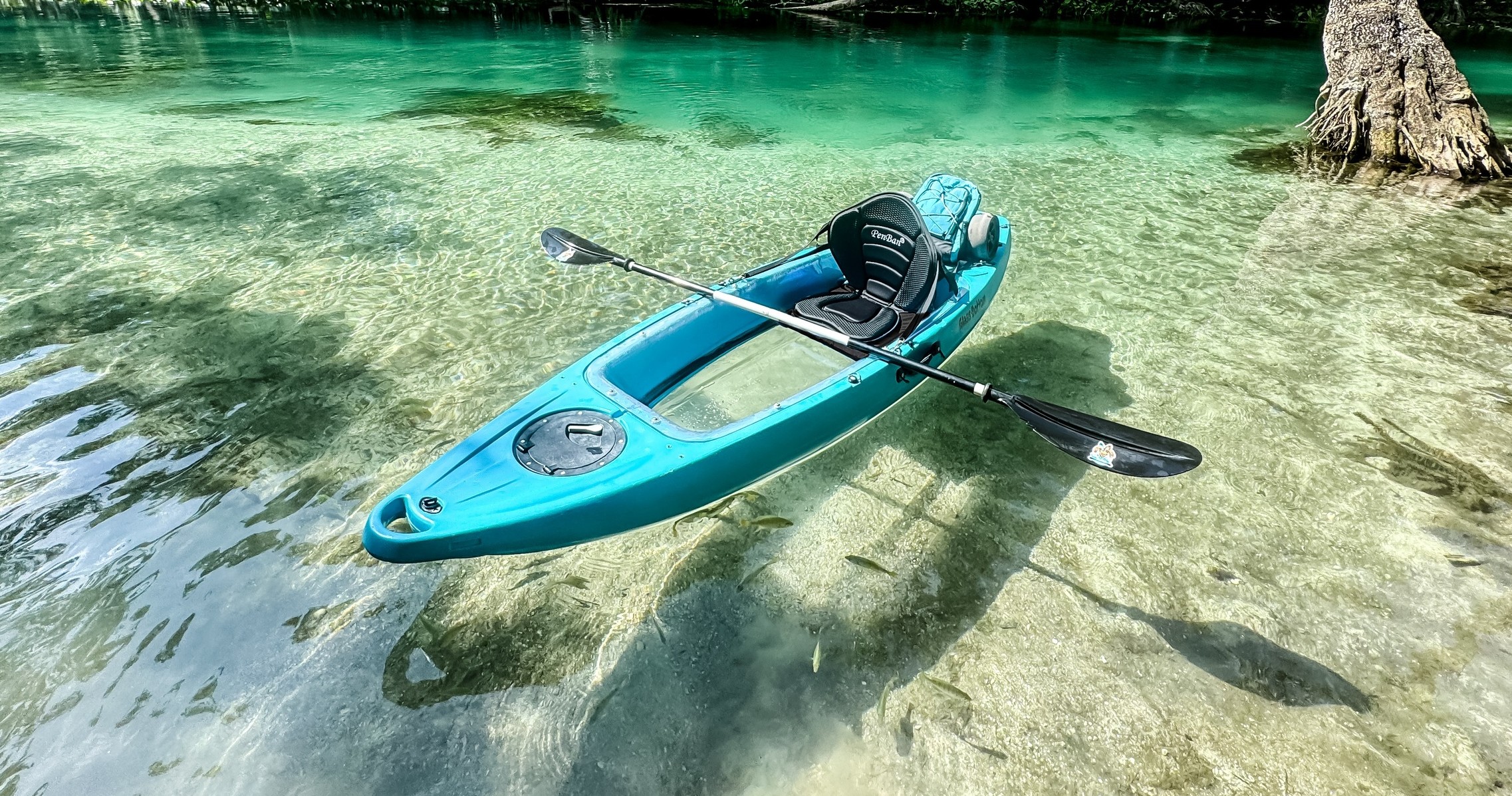 Silver Springs 2hr Guided Tour