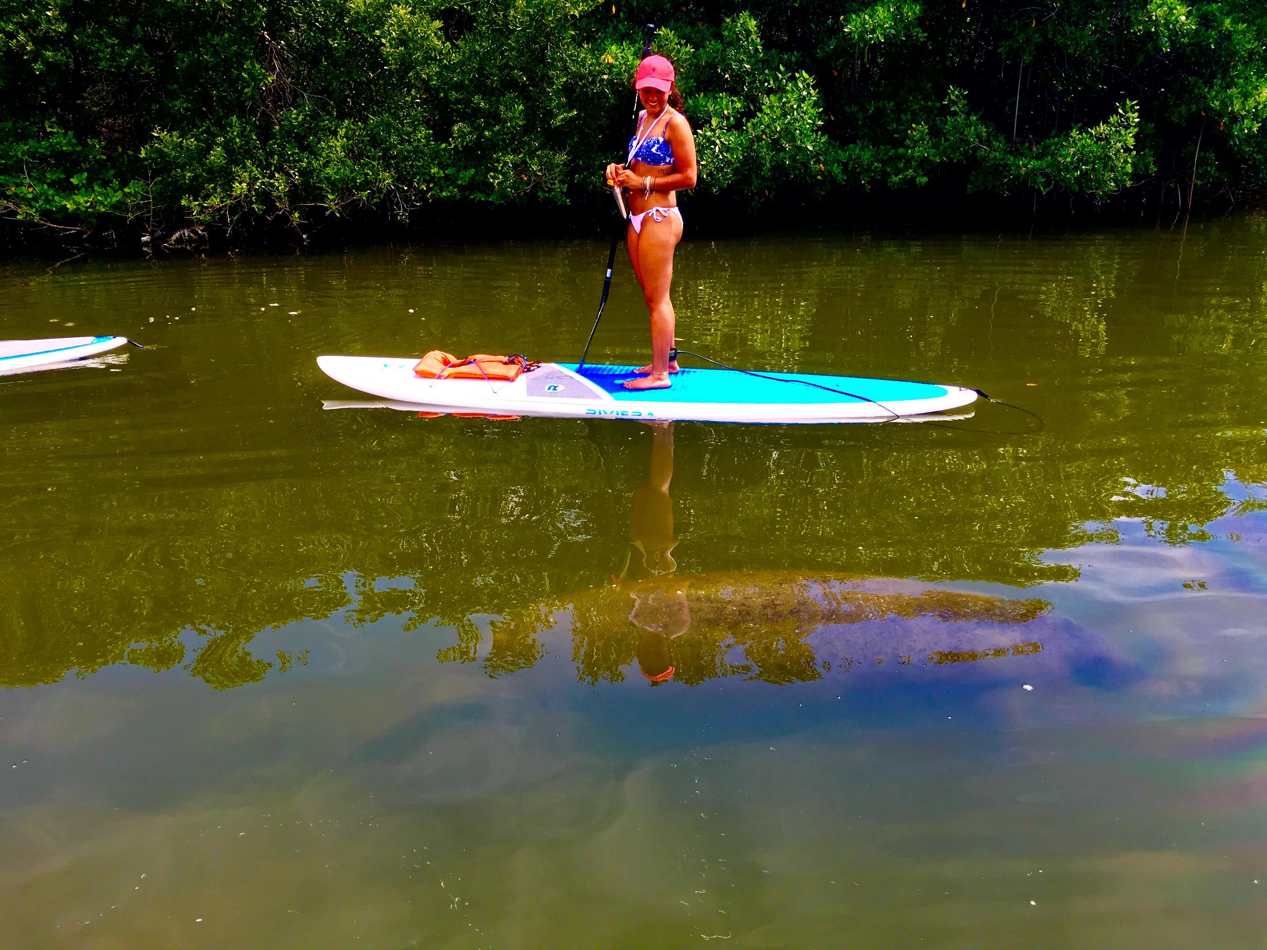 Waterfront Paddle Board Rentals Merritt Island Cocoa Beach Orlando Area