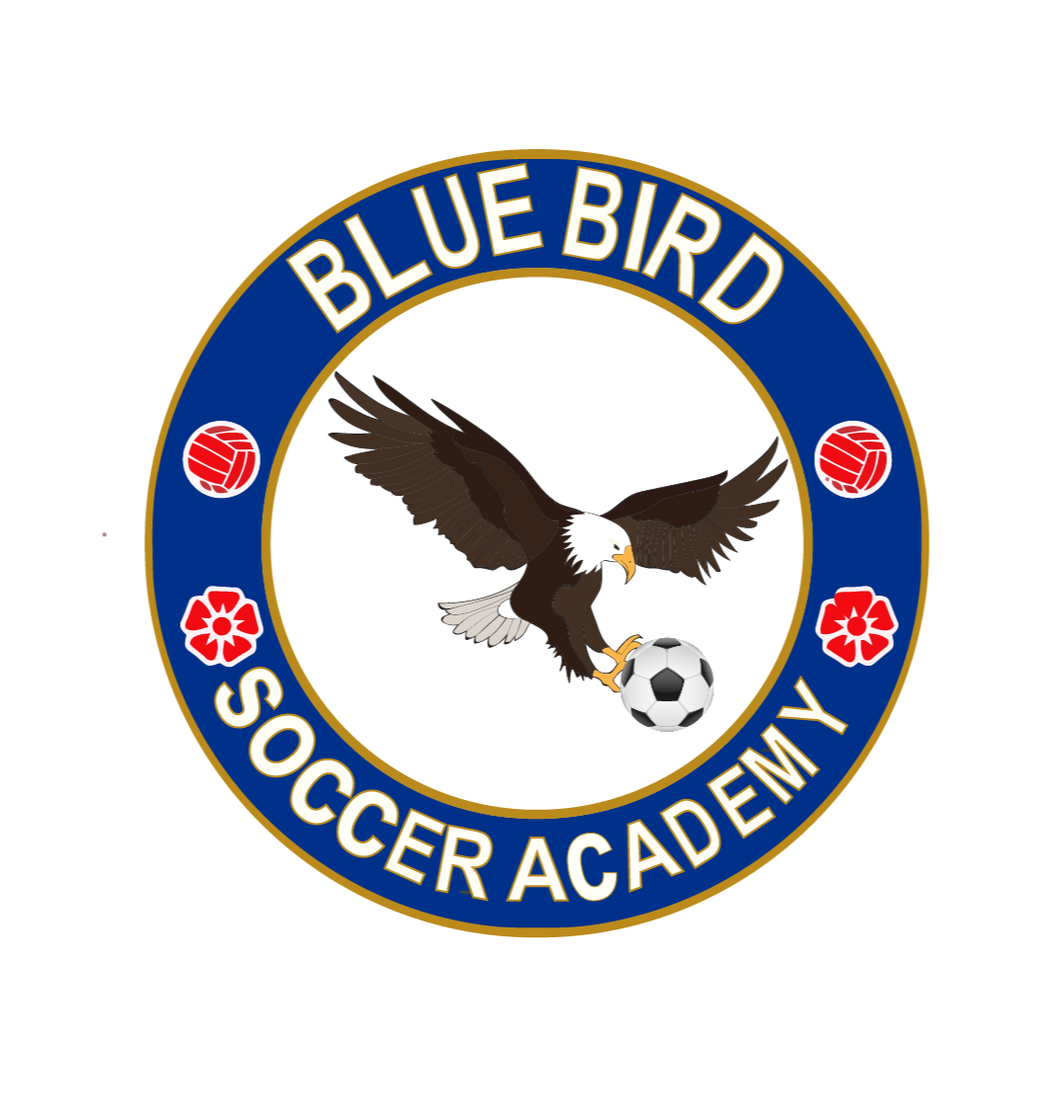 Bluebird Soccer Academy logo