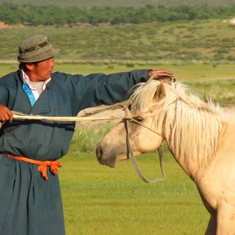 tourhub | Tour Mongolia | Essence of Mongolia - 4 Days 