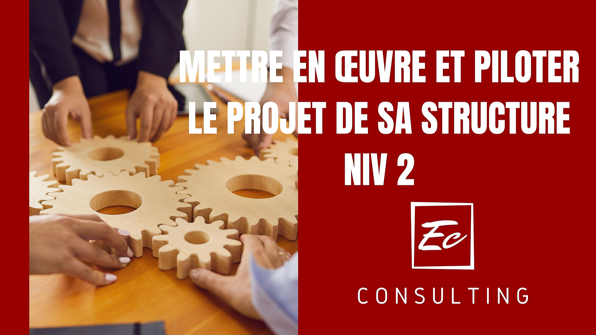 Représentation de la formation : PROGRAMME METTRE EN ŒUVRE ET PILOTER LE PROJET DE SA STRUCTURE NIVEAU 2