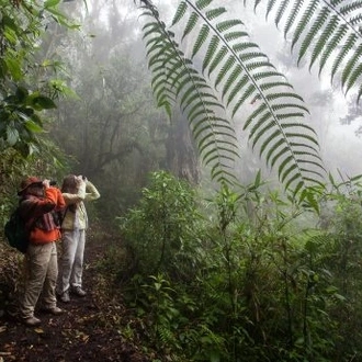 tourhub | Maniti Expeditions Amazon Eco-Lodge and Tours Iquitos | 6D/5N All Inclusive Pacaya Samiria Camping Tour from Iquitos 