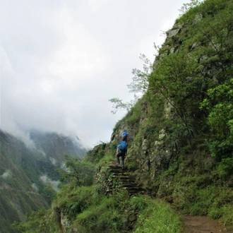 tourhub | TreXperience | 4-Day Inca Jungle Trek to Machu Picchu 