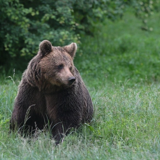 tourhub | Exodus Adventure Travels | Bulgaria: Realm of the Brown Bear 