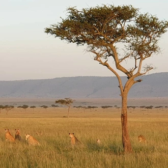 tourhub | Warm and Wild Safaris | 10 Days City, Sun and Bush Kenya Safari 