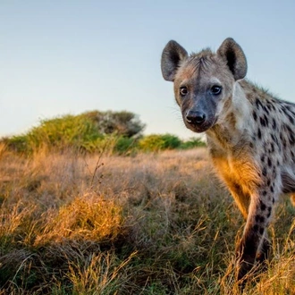 tourhub | Alaitol Safari | 2 Days Safari to Tarangire National Park, Ngorongoro Crater and Snake Park 