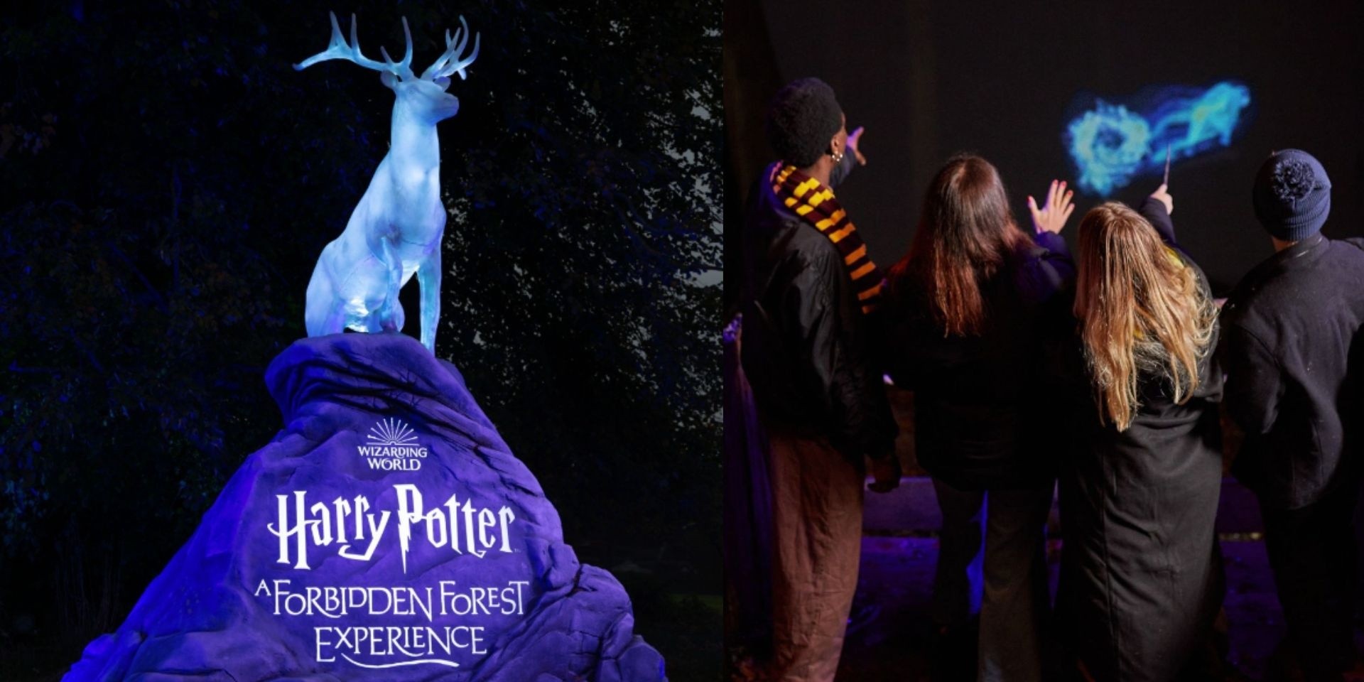 'Harry Potter: A Forbidden Forest Experience' to arrive in Singapore in February 2024