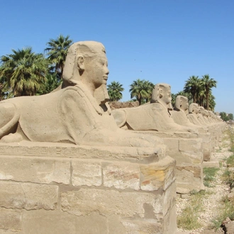 tourhub | EgBride | Cairo to Luxor: East Bank & West Bank - Temples & Tombs - overnight 