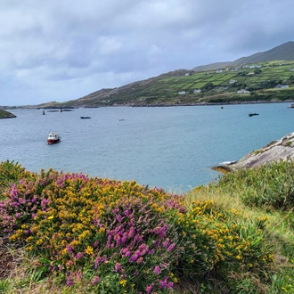 tourhub | Exodus Adventure Travels | Walking Ireland’s Wild Atlantic Way 