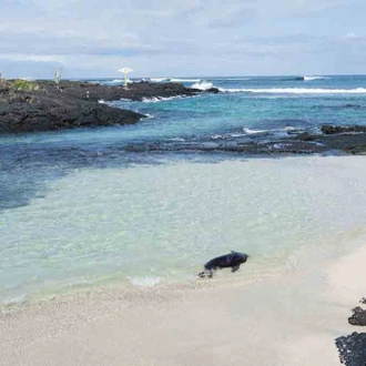 tourhub | Latin Trails | Galapagos Western, Central and Northern Islands Cruise 