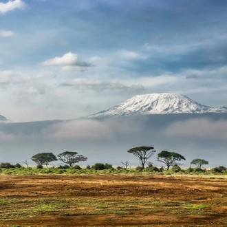 tourhub | OneSeed Expeditions | Kilimanjaro Marangu Route 