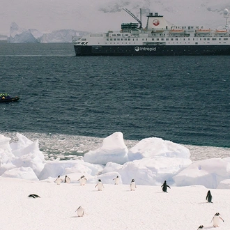 tourhub | Intrepid Travel | Ultimate Antarctica: Falklands, South Georgia & the Antarctic Circle (Ocean Endeavour)  