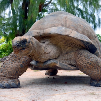 tourhub | Intrepid Travel | Galapagos Encounter: Southern Islands (Grand Queen Beatriz) 