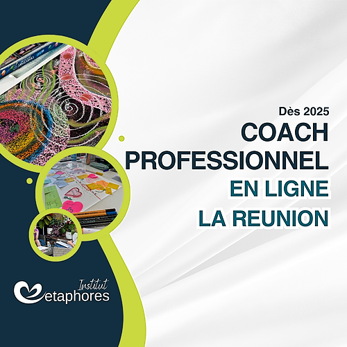 Représentation de la formation : Coach professionnel