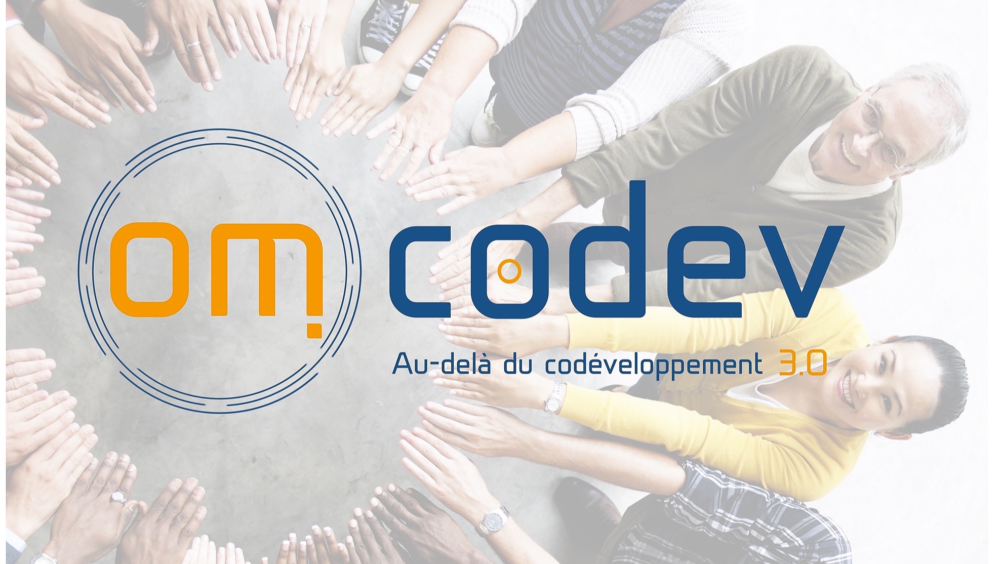 Représentation de la formation : Om Codev : animer des groupes de codéveloppement professionnel