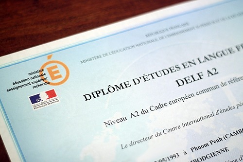 Représentation de la formation : Diploma/certification preparation courses