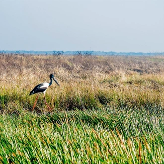 tourhub | Intrepid Travel | Best of the Top End & Kakadu 