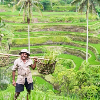 tourhub | Explore! | Discover Indonesia's Eastern Islands 