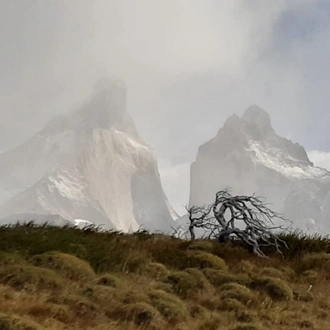 tourhub | Unu Raymi Tour Operator & Lodges | PATAGONIA — TORRES DEL PAINE ‘W’ TREK 