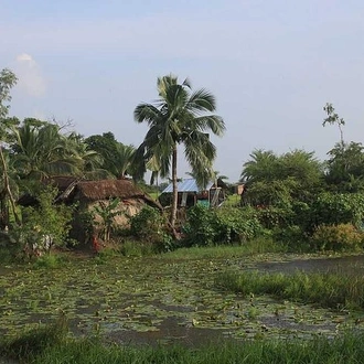 tourhub | Agora Voyages | Kolkata, Sundarbans Mangrove Forest & Eastern Himalaya 